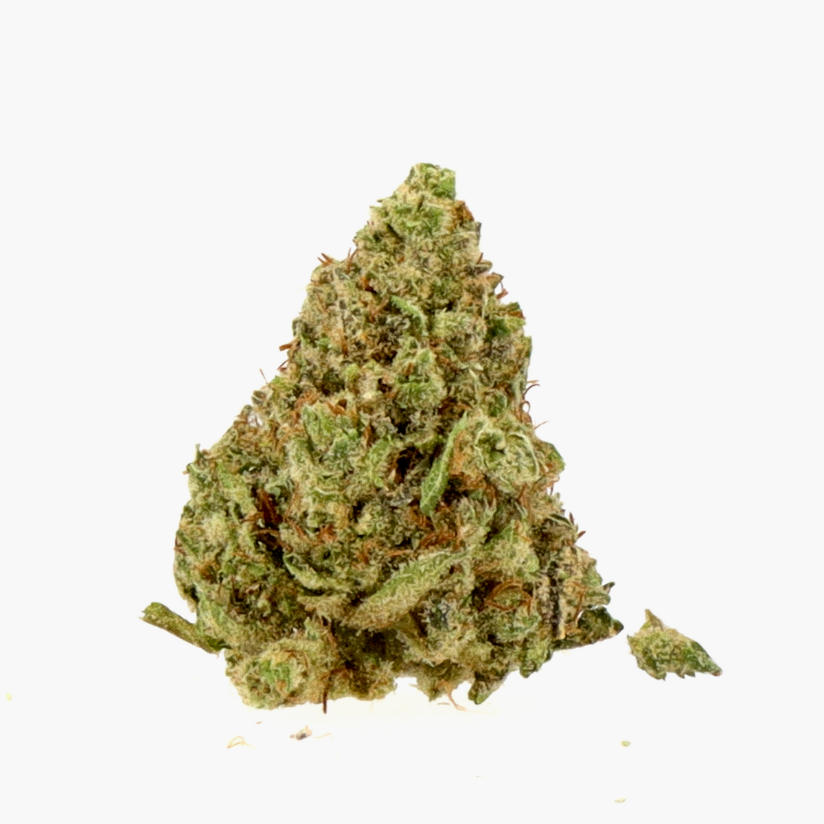 Fleurs CBD - Northern Light