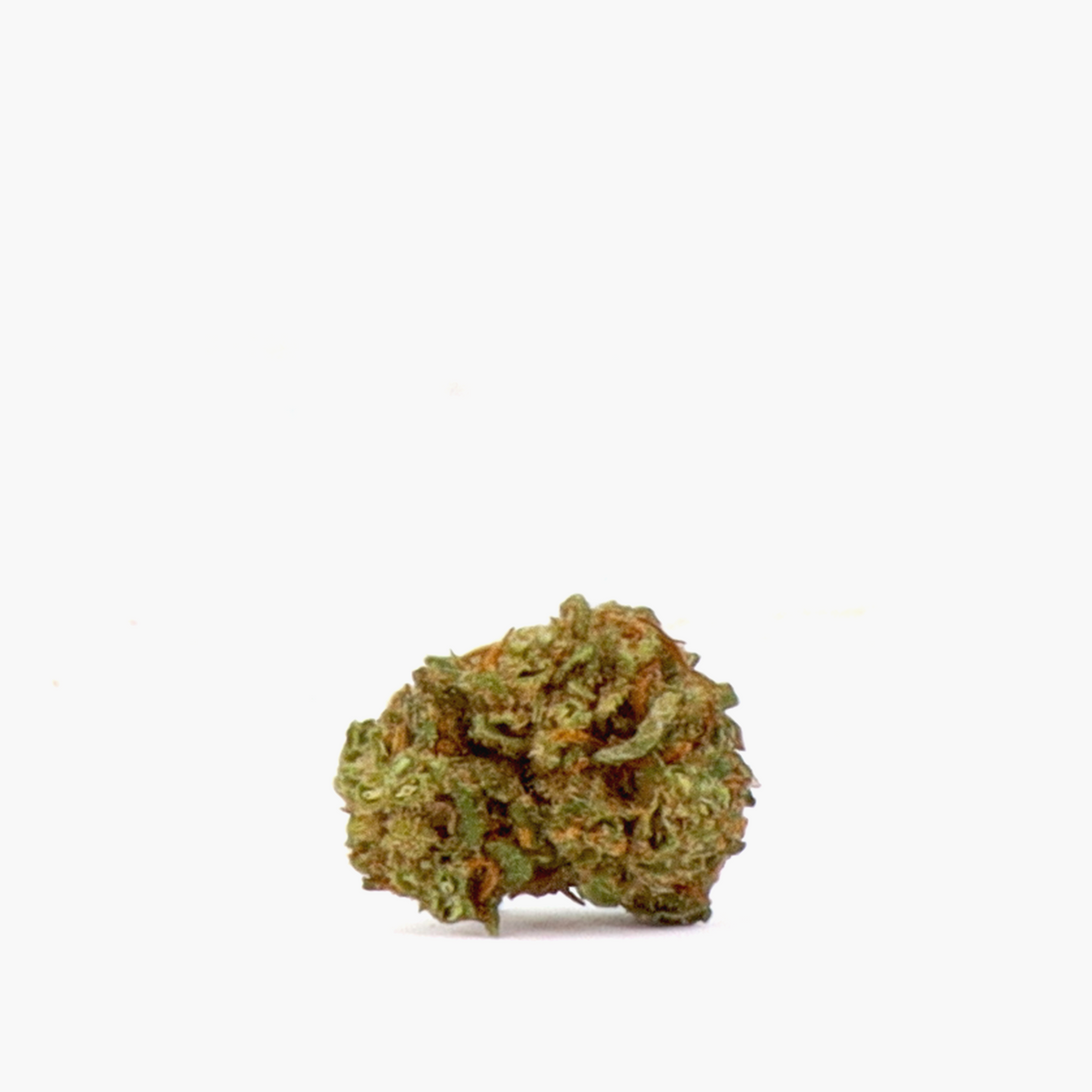 Orange Bud Small Buds CBD - Private Label