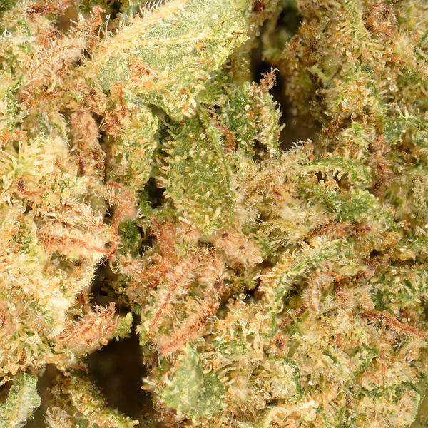 Orange Bud Small Buds CBD - Private Label