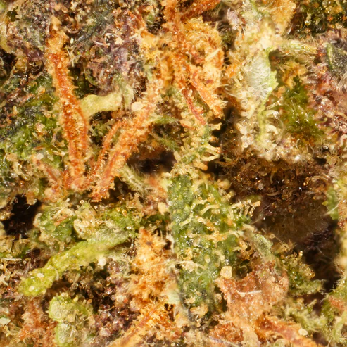 Weeding Cake CBD - Marque blanche