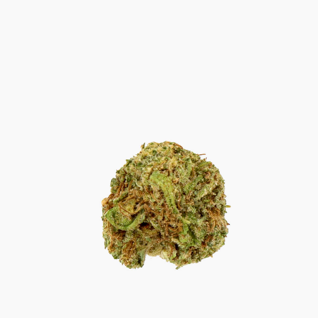 Amnésia Small Bud CBD - Marque blanche