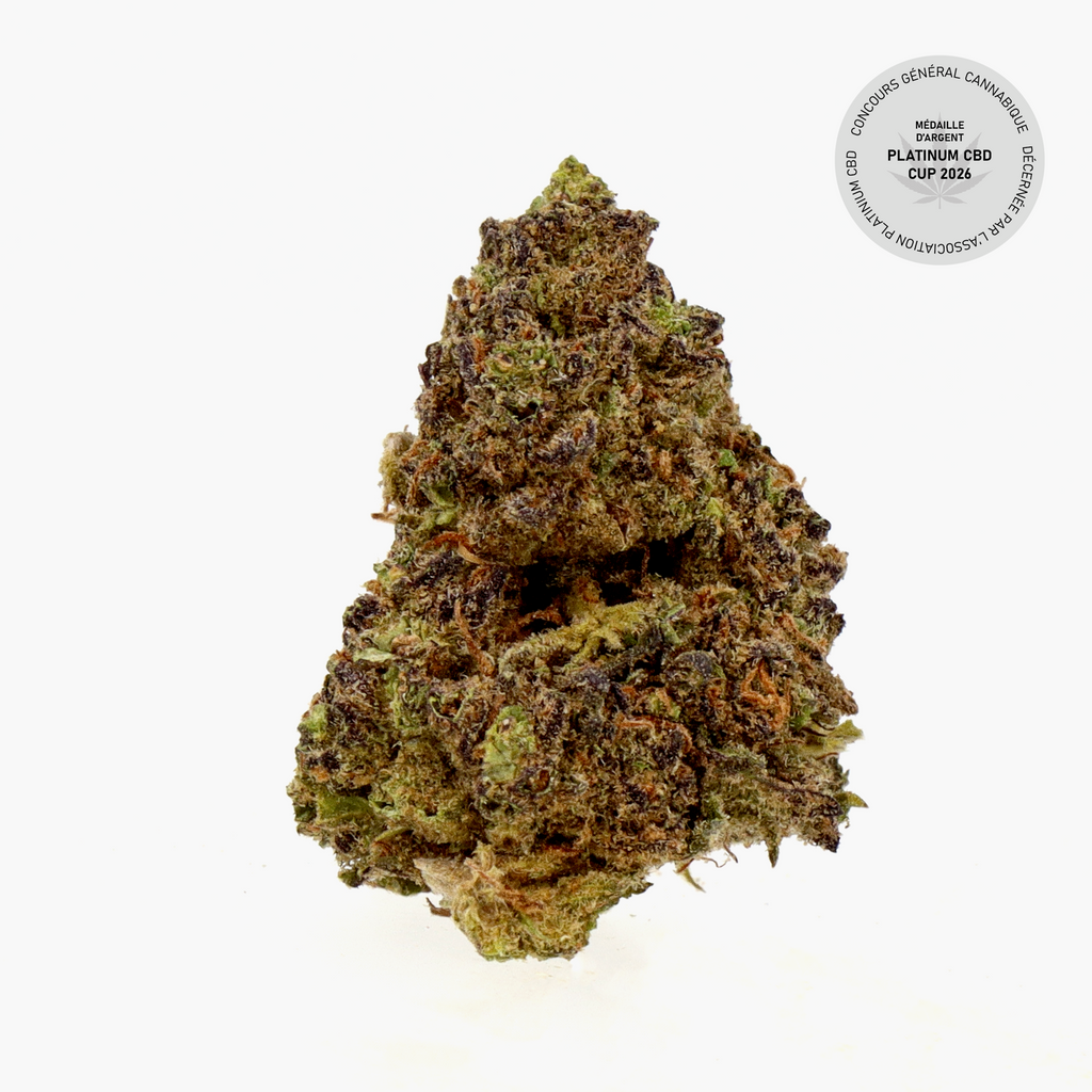 Fleurs CBD - Blueberry Muffin