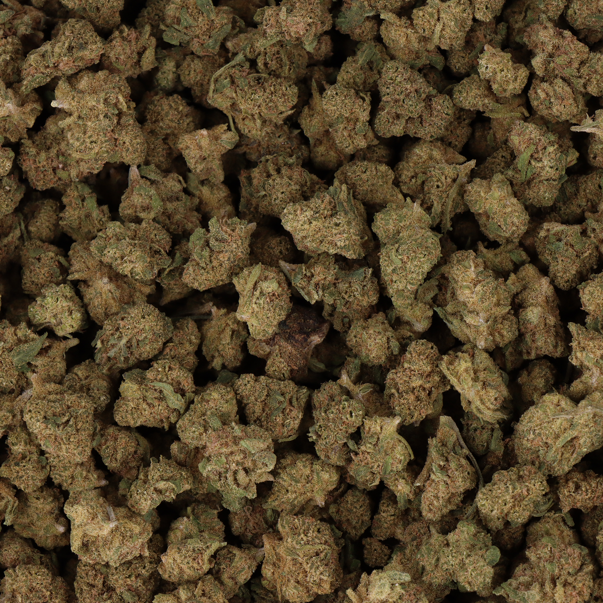 Critical Kush Small Bud CBD - Deli Hemp