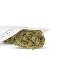 Fleurs CBD - Amnesia 2.0 - Marque blanche