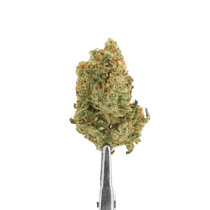 Fleurs CBD - Girl Scout Cookie - Vrac