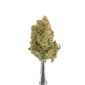 Fleurs CBD - Girl Scout Cookie - Vrac