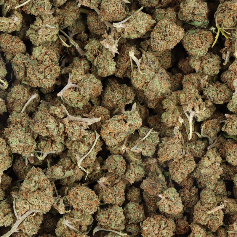 Fleurs CBD - Ice Cream Cake Small Bud - Vrac