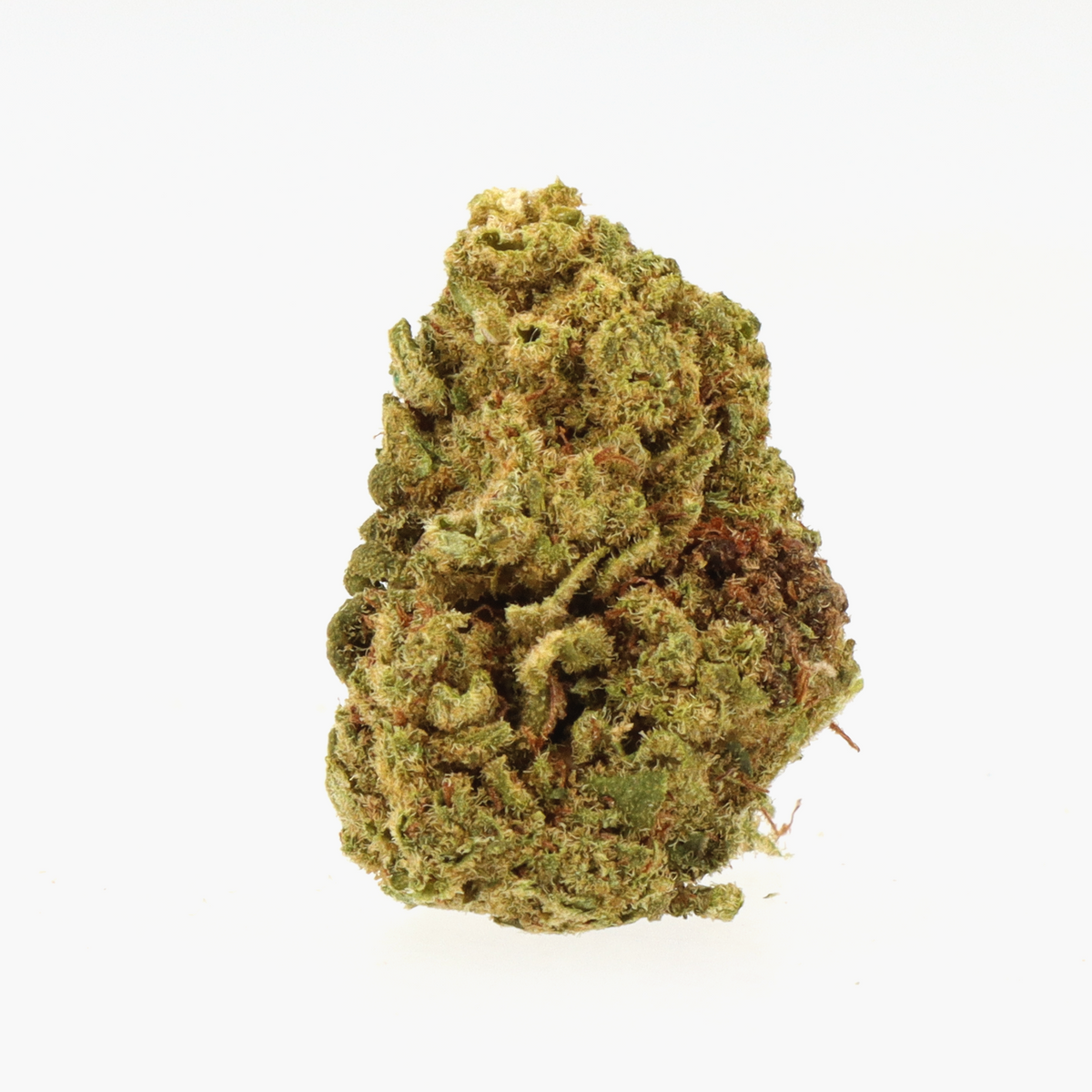 Gelato Small Bud CBD - Deli-Hemp