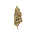 Fleurs CBD - Guava Gelato - Vrac