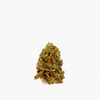 Small Bud en vrac