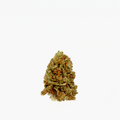 Fleurs CBD - Ice Cream Small Bud - Vrac