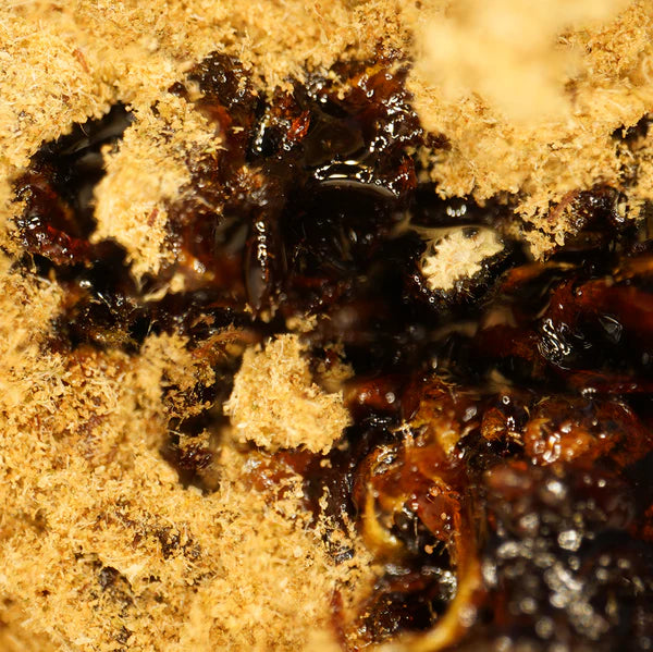 CBD Resin - Moon Rock Live Resin 50%