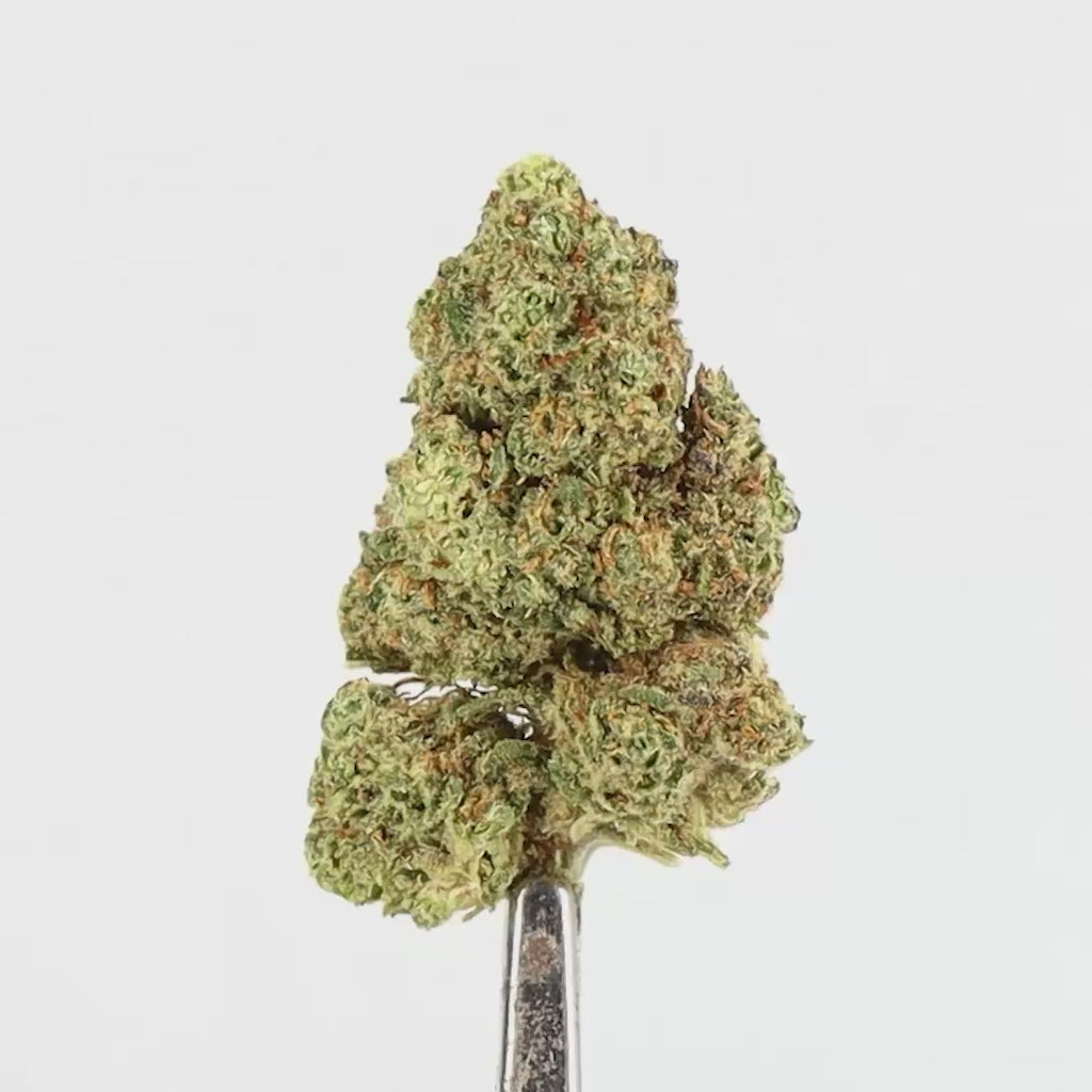 CBD Flowers - Cozy Night Kush - Deli-Hemp
