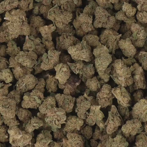 Critical Kush Small Bud CBD - Deli Hemp