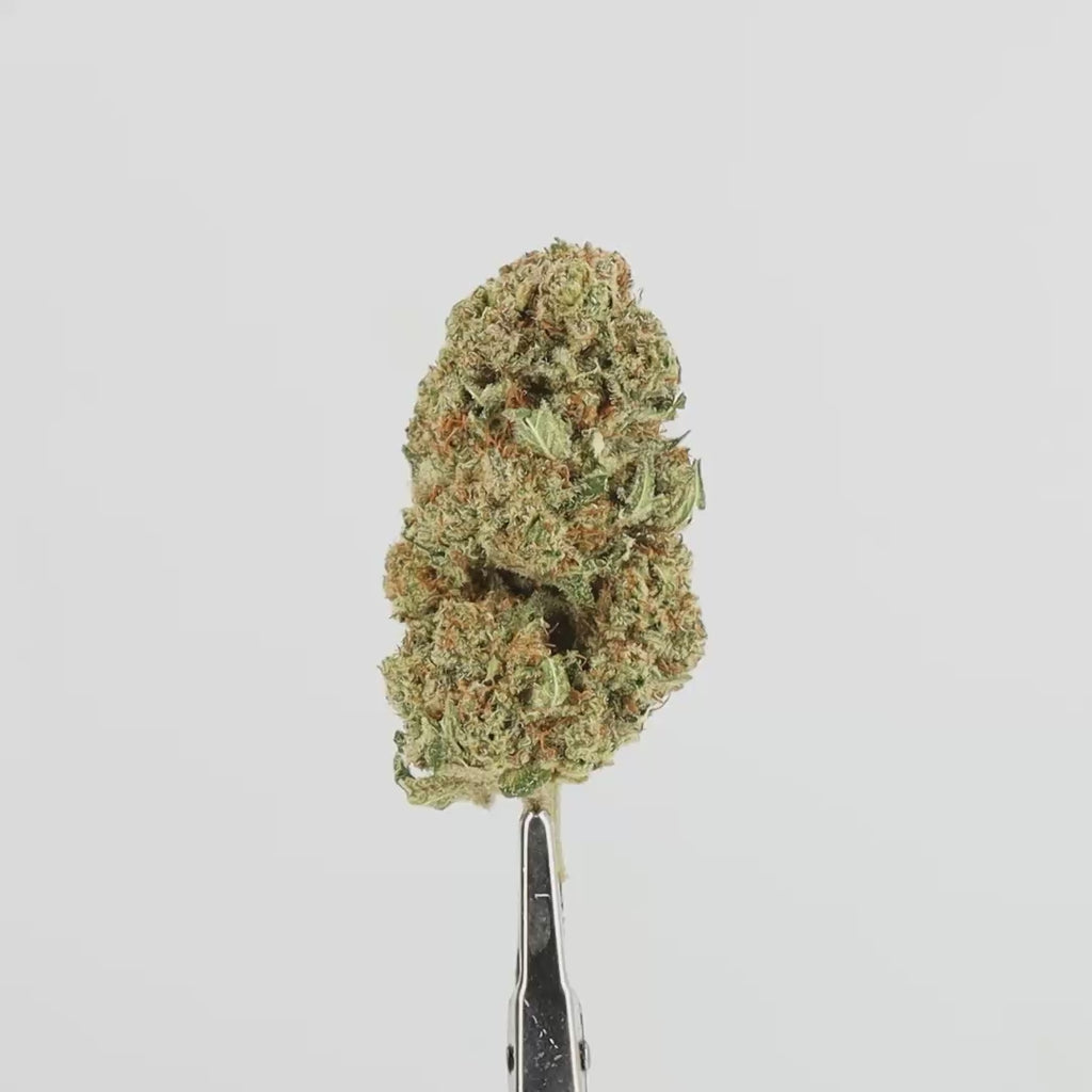 CBD Flowers - Liberty Haze - Deli-Hemp