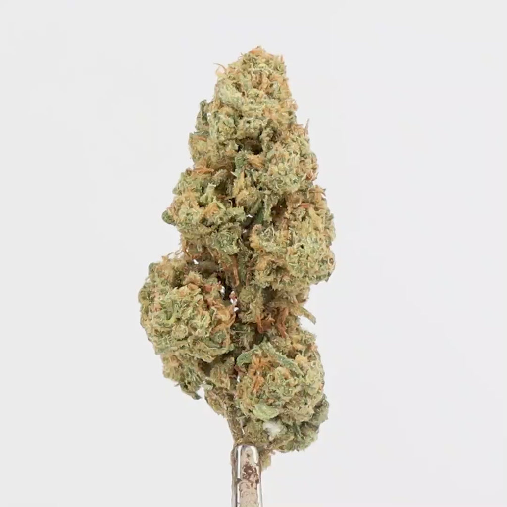 Tangie CBD - Deli-Hemp
