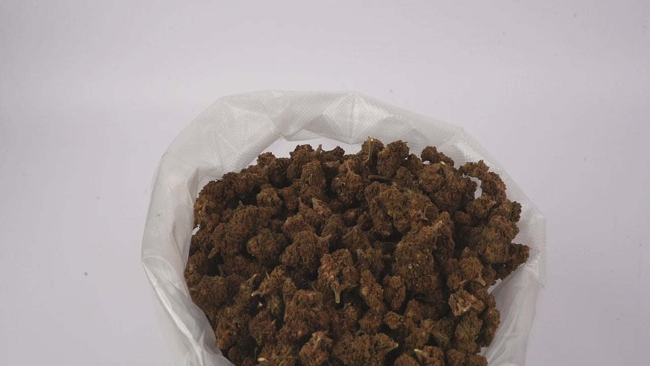 Vidéo