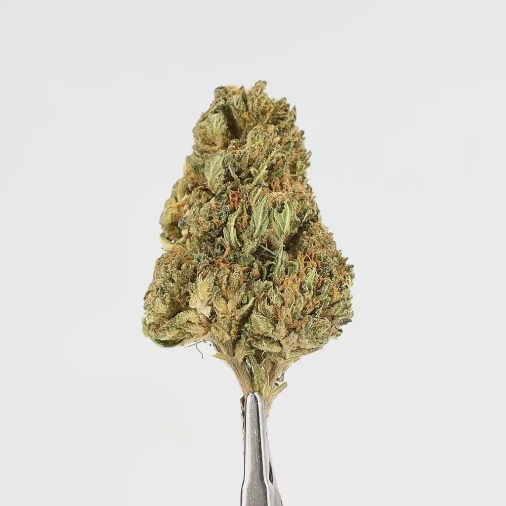 OG California CBD - Deli Hemp