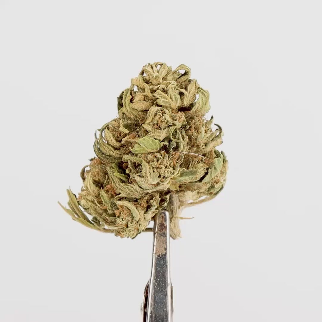 Jamaican CBD - Deli-Hemp