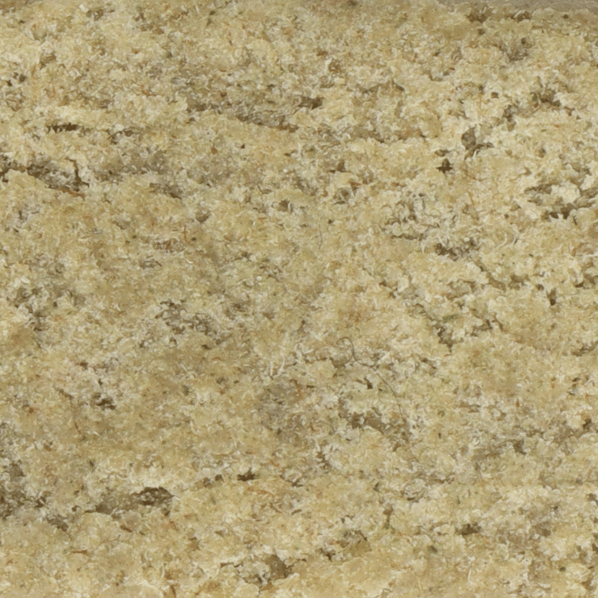 Gros plan de la texture granuleuse de la résine CBD Dry Sift Gelato Indoor