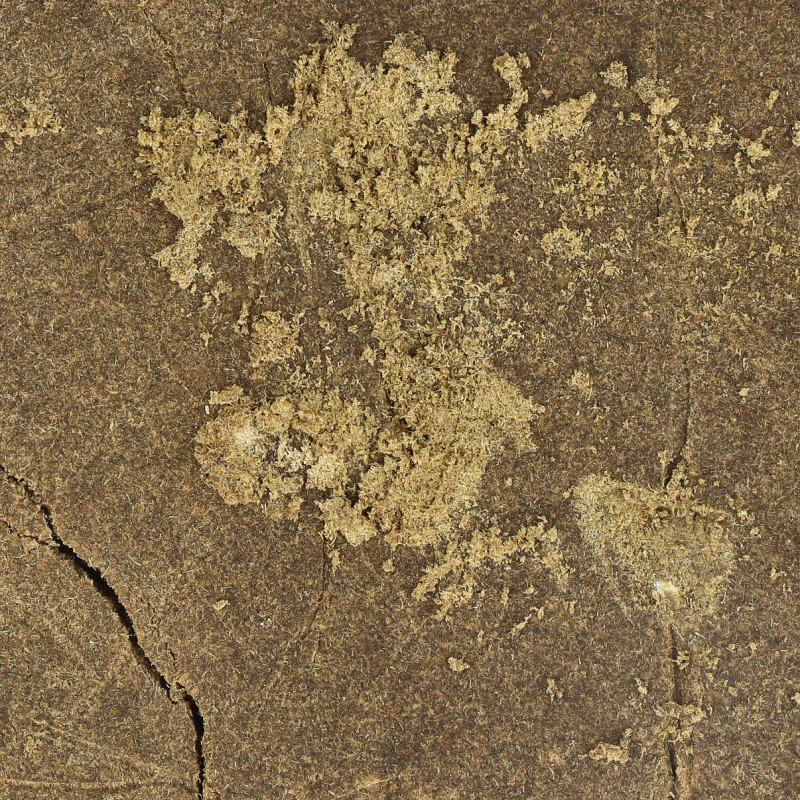 CBG Resin - Filtered 50% - Private Label