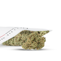 Fleurs CBD - Runtz - Deli Hemp